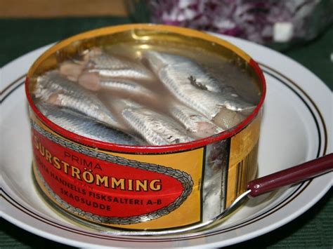 Swedish Surströmming – Everything You Need To。